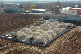 eyyubiye-hali-sahalar-2 (4)