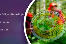 orman bölge müdürlüğü