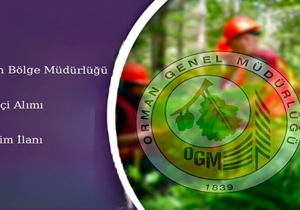 orman bölge müdürlüğü