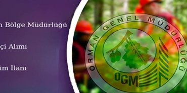 orman bölge müdürlüğü