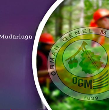 orman bölge müdürlüğü