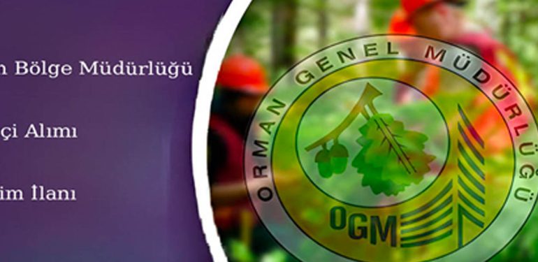 orman bölge müdürlüğü