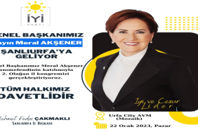 poster_2023-01-17-085348