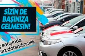 sazan sarmalı