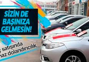 sazan sarmalı