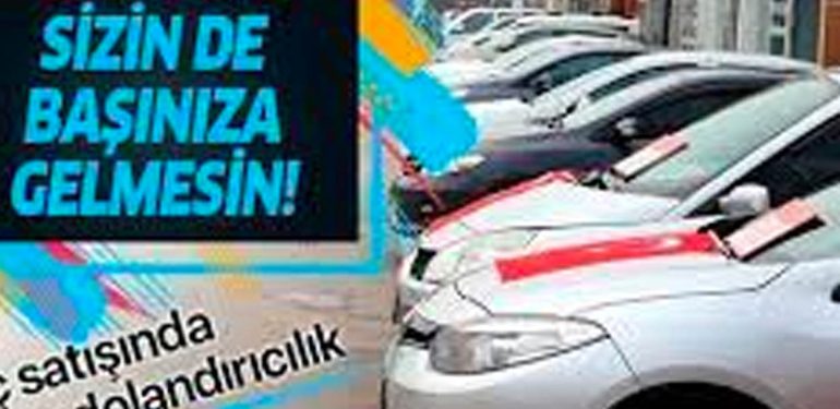 sazan sarmalı