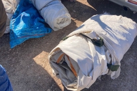 9EE50562-C113-4E61-96D5-85320415A8C3