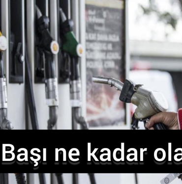 InShot_20230201_101604839