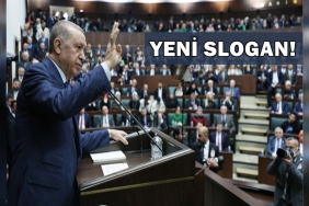 InShot_20230201_154606366