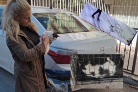 InShot_20230203_113135445