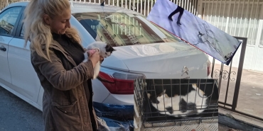 InShot_20230203_113135445