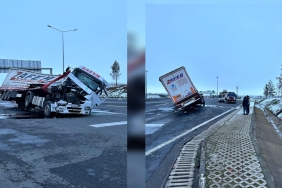 InShot_20230204_195718354