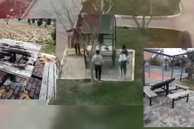 InShot_20230219_131755345