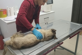 WhatsApp Image 2023-02-14 at 17.15.36