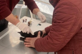 WhatsApp Image 2023-02-22 at 11.31.42