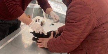 WhatsApp Image 2023-02-22 at 11.31.42