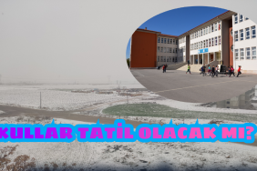 poster_2023-02-04-055019