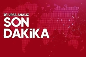 IMG_20230325_171116_560