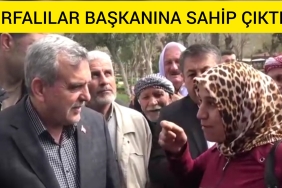 InShot_20230317_231644767