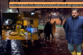 WhatsApp Image 2023-03-27 at 11.14.31