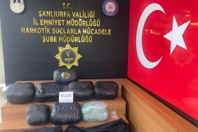 WhatsApp Image 2023-03-28 at 10.19.18