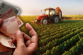 bakanlik_acikladi_tarimsal_destek_odemeleri_bugun_basladi_h102120_798e5