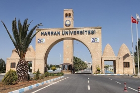 thumbs_b_c_ae83410b7f71f90c451f3c2699a2d7ff