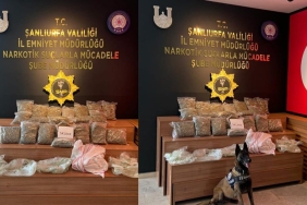 WhatsApp Image 2023-04-04 at 12.19.46