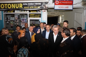 WhatsApp Image 2023-04-15 at 03.39.54