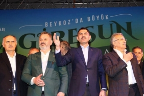 140522255-1683579255-1683579320