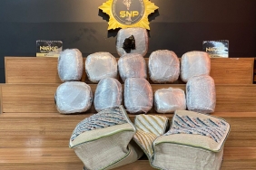 618a18a3-3d0b-4fbc-92ef-d7ffbc7d6601