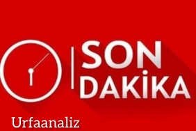 InShot_20230528_184010552