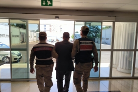 WhatsApp Image 2023-05-12 at 09.52.20