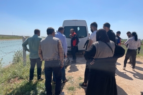 WhatsApp Image 2023-05-12 at 11.14.49