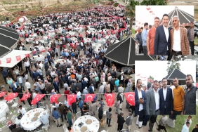 WhatsApp Image 2023-05-26 at 11.52.16