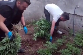 SINIR İLÇESİNDE UYUŞTURUCU TACİRLERİNE DARBE ŞANLIURFA'DA UYUŞTURUCU OPERASYONLARI YOĞUNLAŞTI