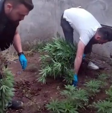 SINIR İLÇESİNDE UYUŞTURUCU TACİRLERİNE DARBE ŞANLIURFA'DA UYUŞTURUCU OPERASYONLARI YOĞUNLAŞTI