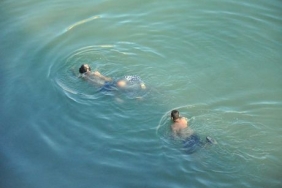 1157192_cd8376b666af176ee0e9e5fa684db139