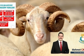 1200x627-kurban-bayrami-birlesti-mi-2019-kurban-bayrami-tatili-son-dakika-9-gun-oldu-mu-bayram-tatili-kac-gun-olacak-1565180594714