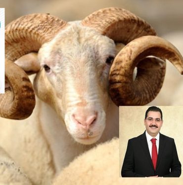 1200x627-kurban-bayrami-birlesti-mi-2019-kurban-bayrami-tatili-son-dakika-9-gun-oldu-mu-bayram-tatili-kac-gun-olacak-1565180594714