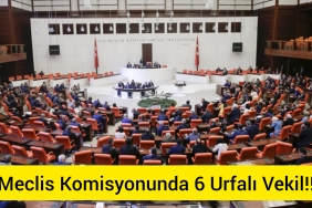 InShot_20230614_123806368