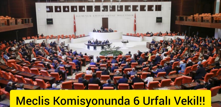 InShot_20230614_123806368