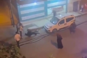 WhatsApp Image 2023-06-05 at 10.34.26