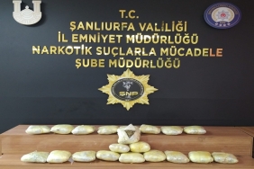 WhatsApp Image 2023-06-06 at 09.17.46