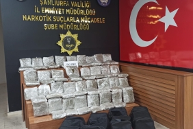 WhatsApp Image 2023-06-16 at 11.26.40