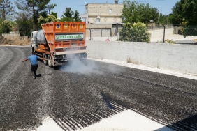 WhatsApp Image 2023-06-21 at 11.55.03