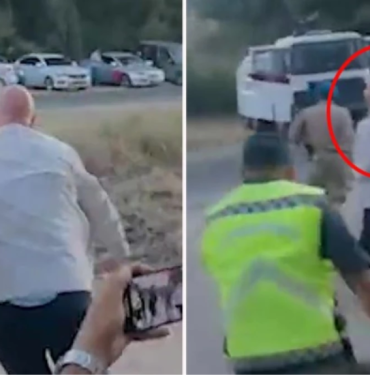 12_20_01_tanal-1024x575