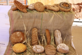 WhatsApp Image 2023-07-05 at 09.43.25