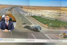 WhatsApp Image 2023-07-18 at 10.38.36