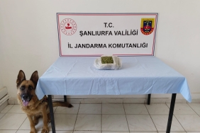 WhatsApp Image 2023-07-27 at 10.58.31 (1)